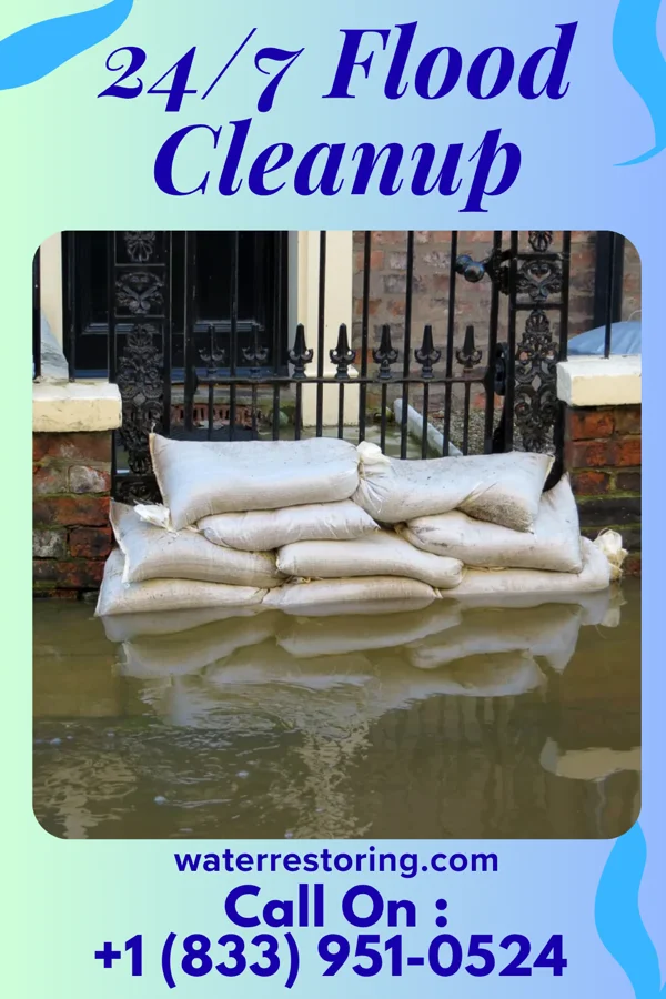 24/7 Flood Cleanup in Odessa, MN