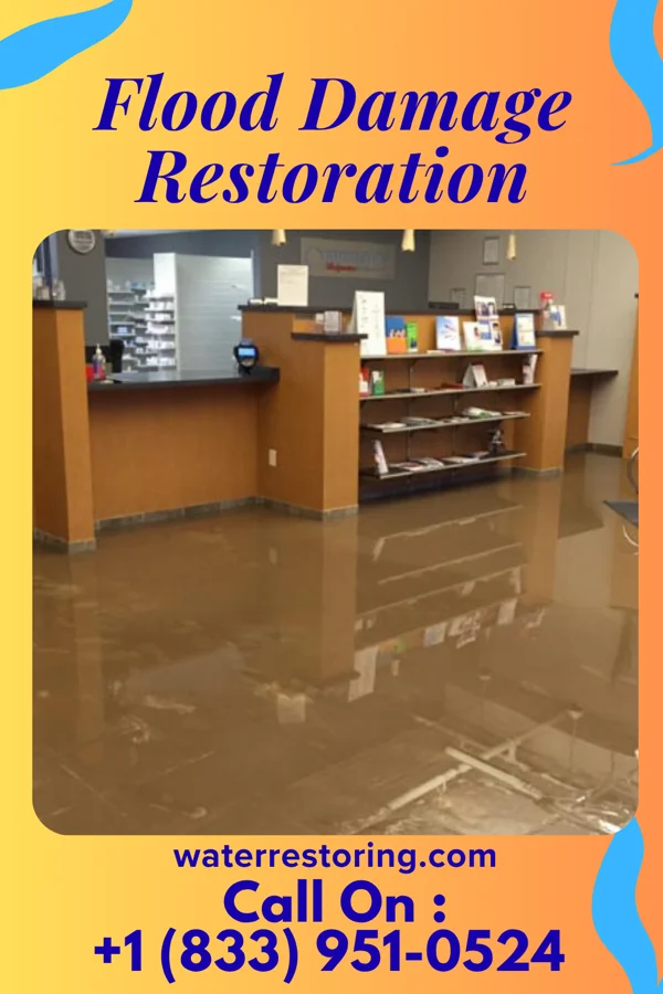 Flood Damage Restoration in Odessa, MN