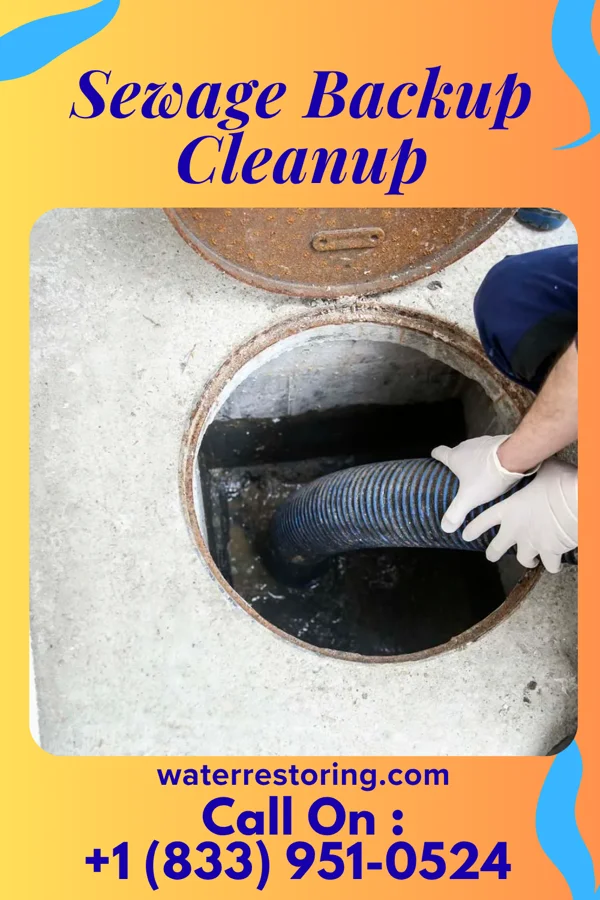 Sewage Backup Cleanup in Odessa, MN