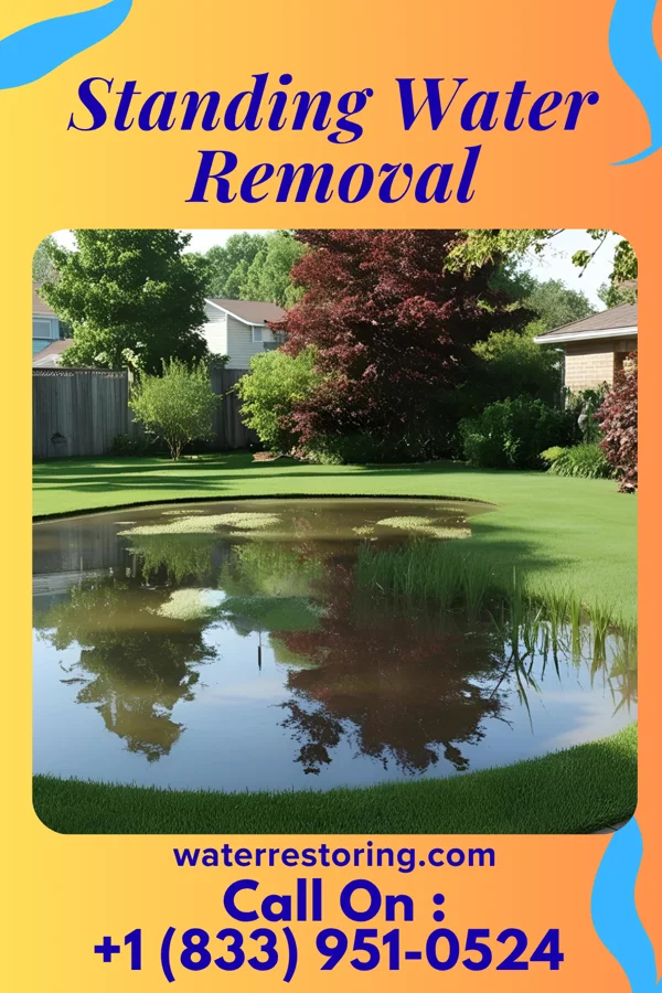 Standing Water Removal in Odessa, MN